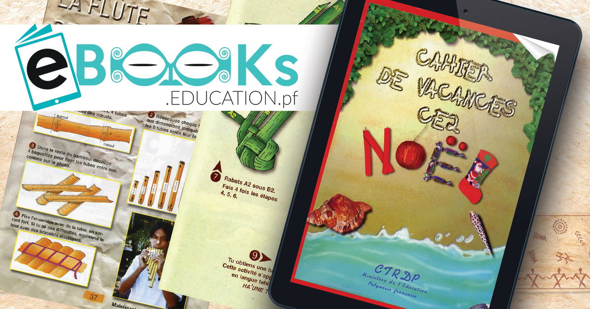 Cahier de vacances CE2 Noël - ebooks.education.pf
