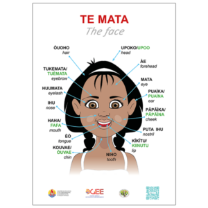 Te mata - The face - MQN/MQS/EN