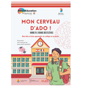 Mon cerveau d'ado